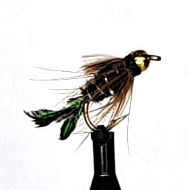 BHN40