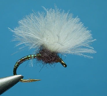 CDC Puff Fly 2