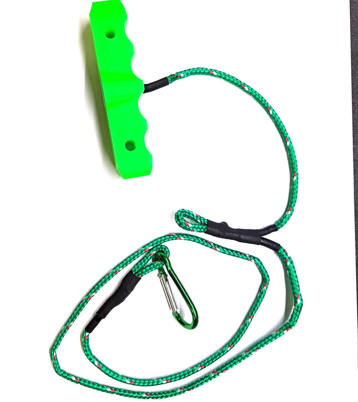 FA-ILFF-FISHLASSO 2