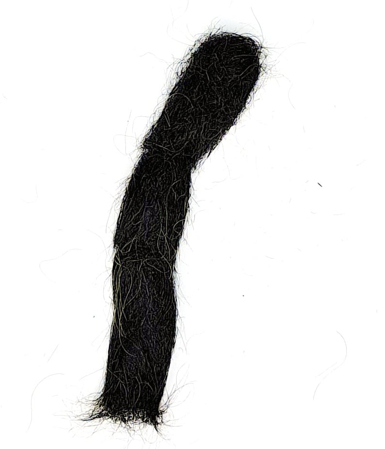 FT-DUB-BTI-SEALEU-BLACK