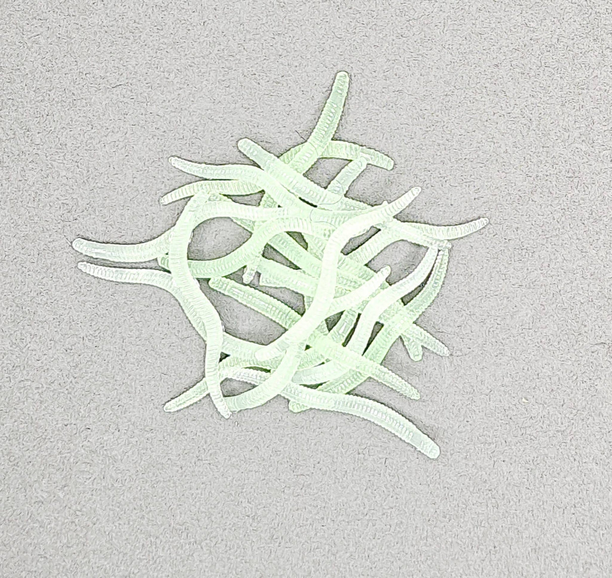 FT-LAB-EARTHWORM-GLOWW