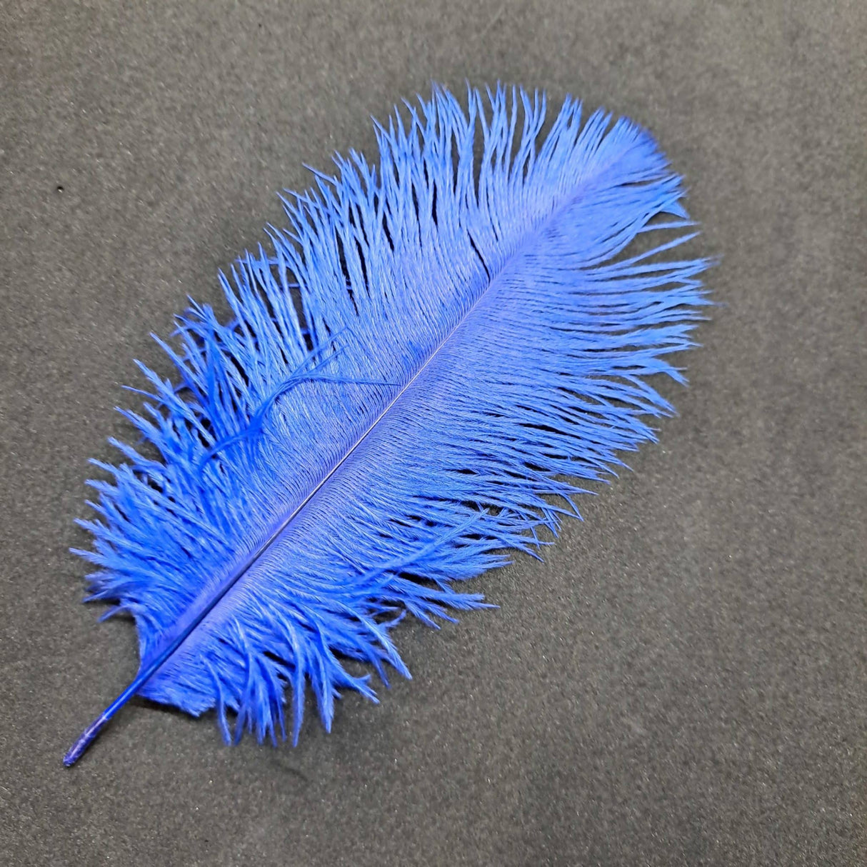 Feather Ostrich Blue