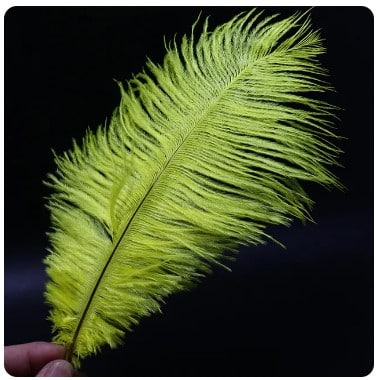 Feather Ostrich Yellow
