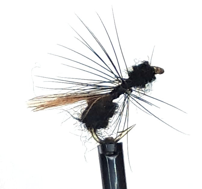 Flying Ant