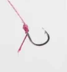 Hook Tier 9