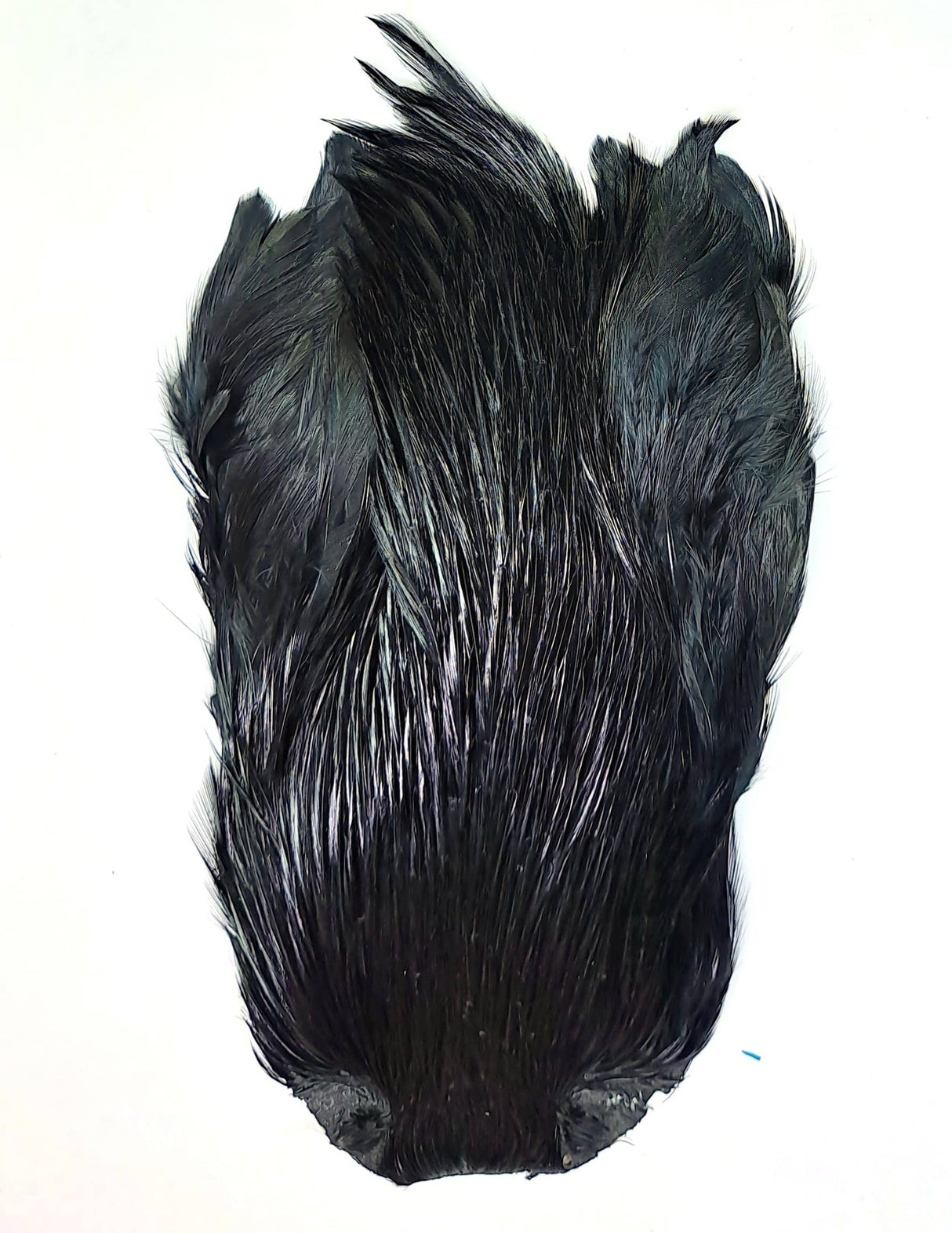 JN1047 Black
