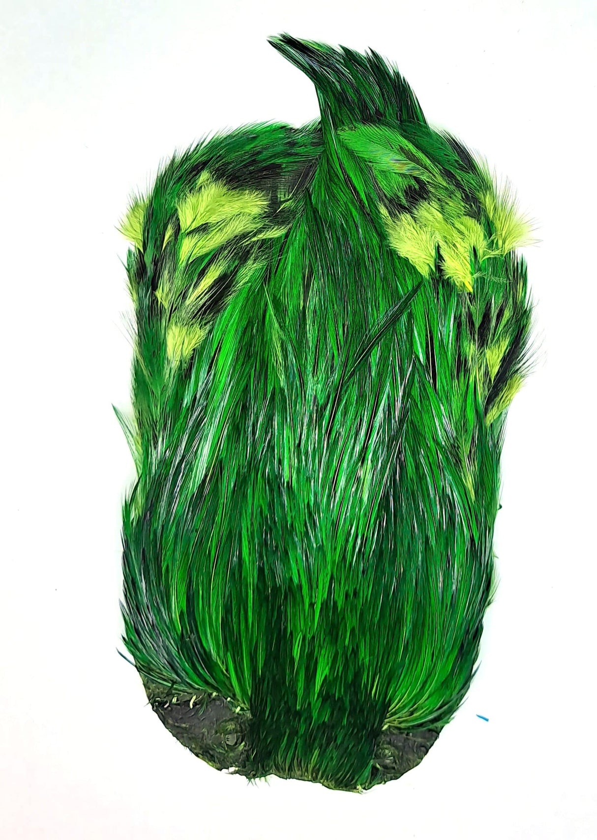 JN1048 Mild Green
