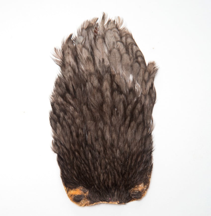 JN1117