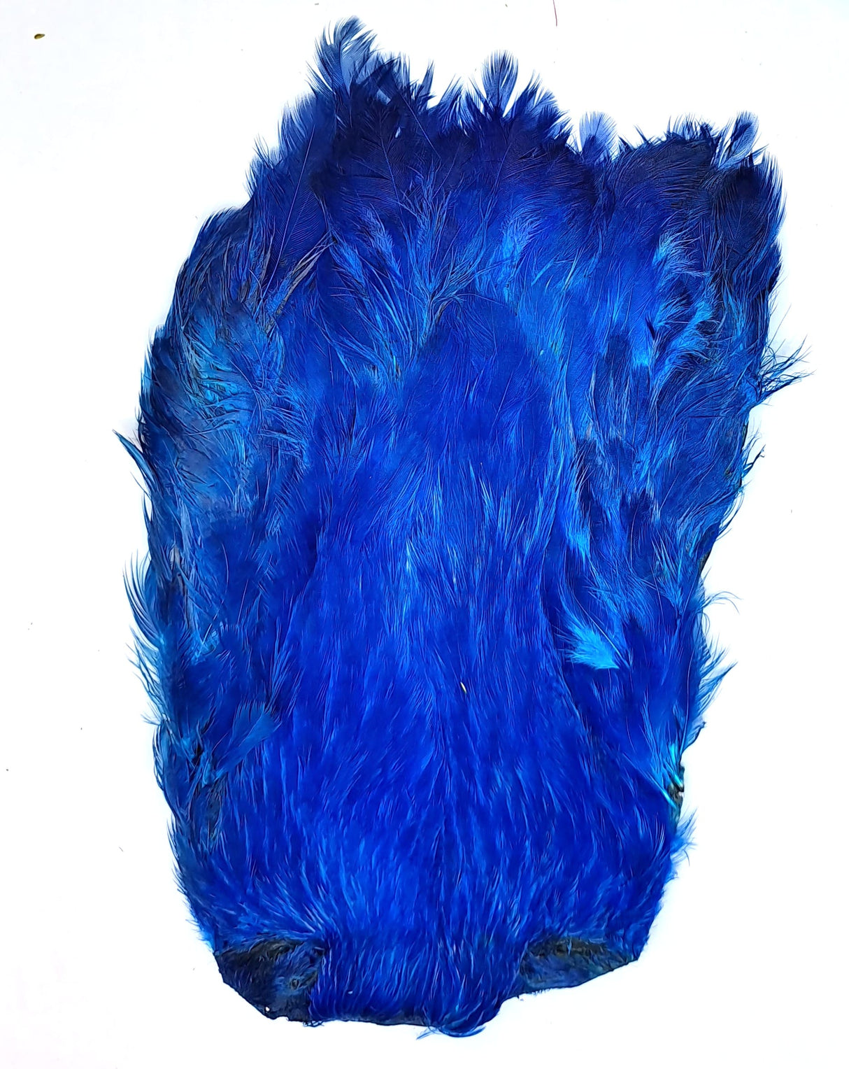 JN1137 Royal Blue