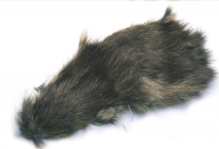 Muskrat Fur