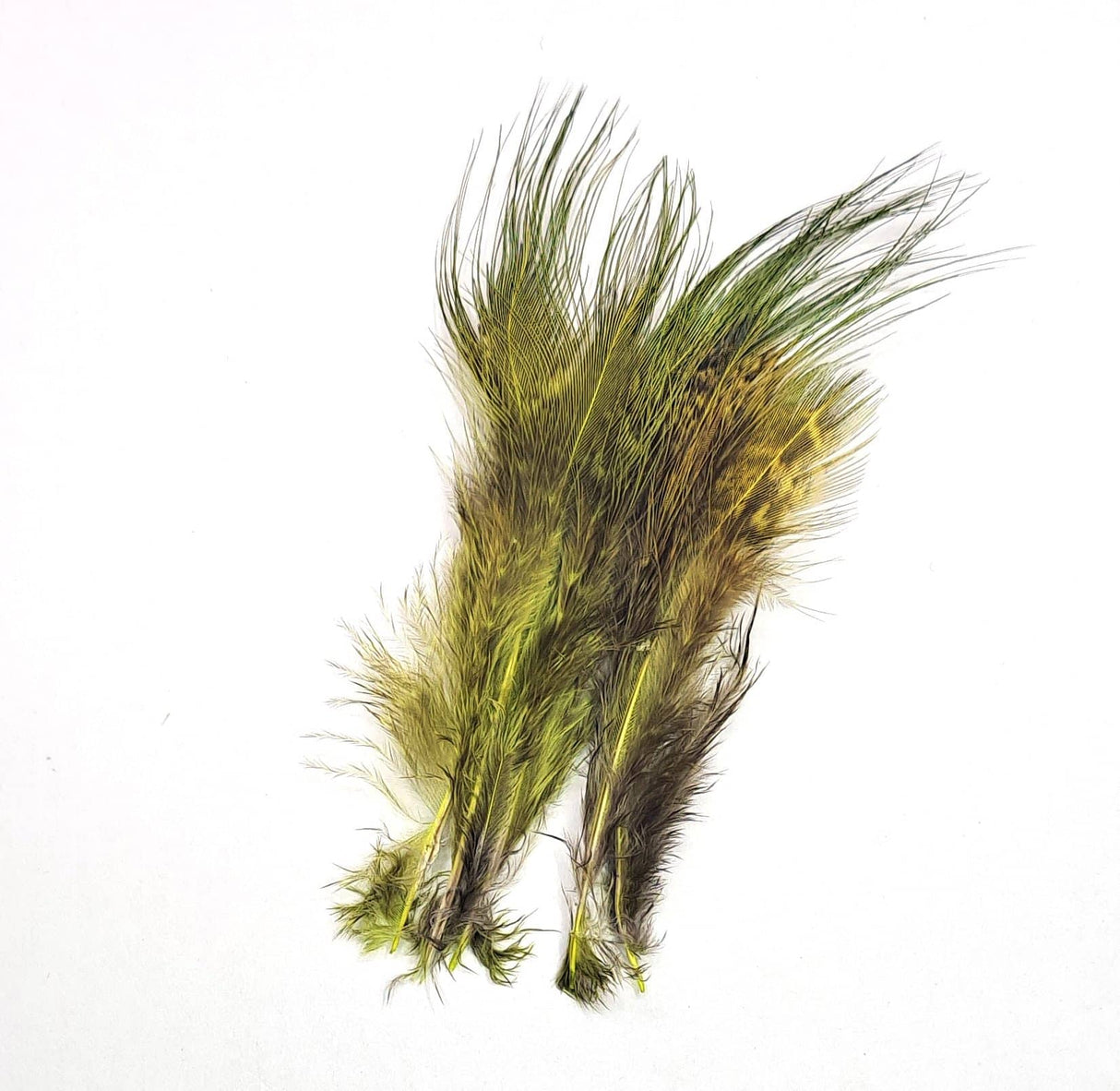 Pheasant Rump Dark Olive