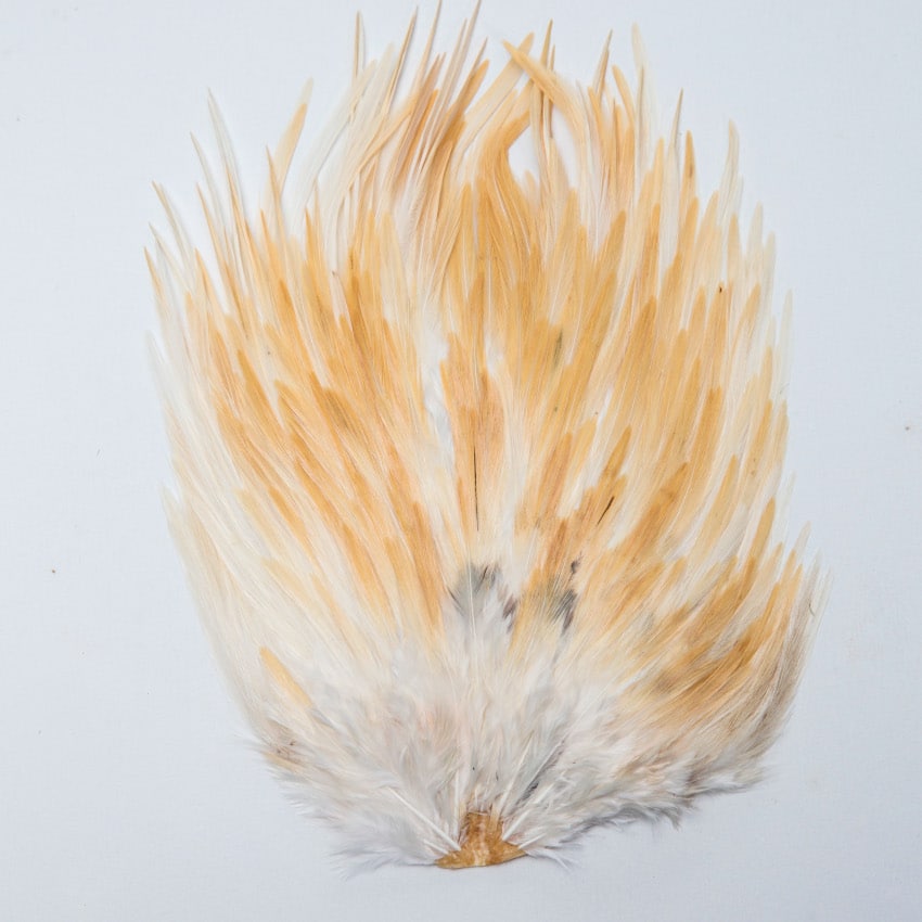 S0005