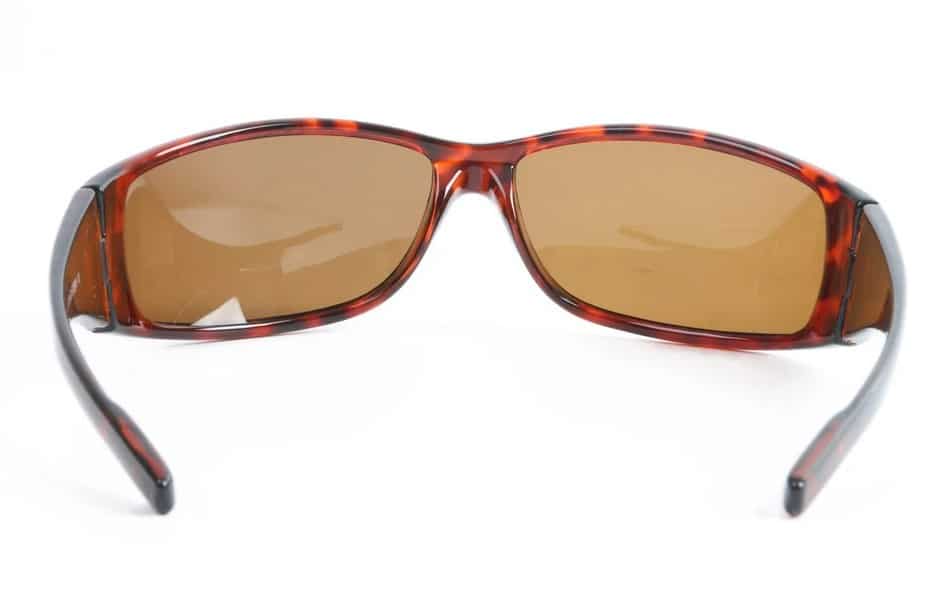 Sunglasses AP0904 D