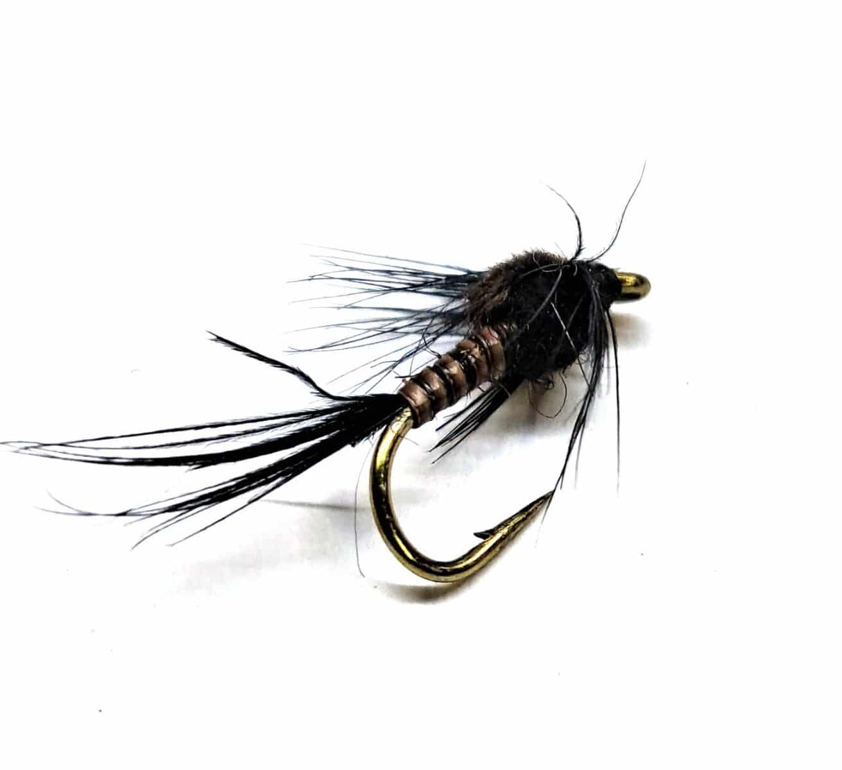 black_quill_nymph_n1429_1.jpg