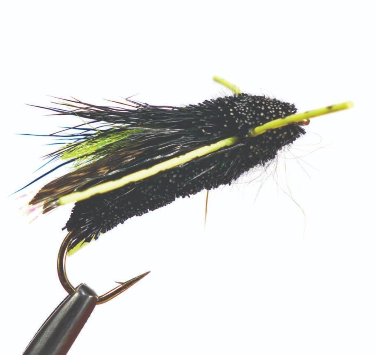 cicada_black_rubber_legs.jpg