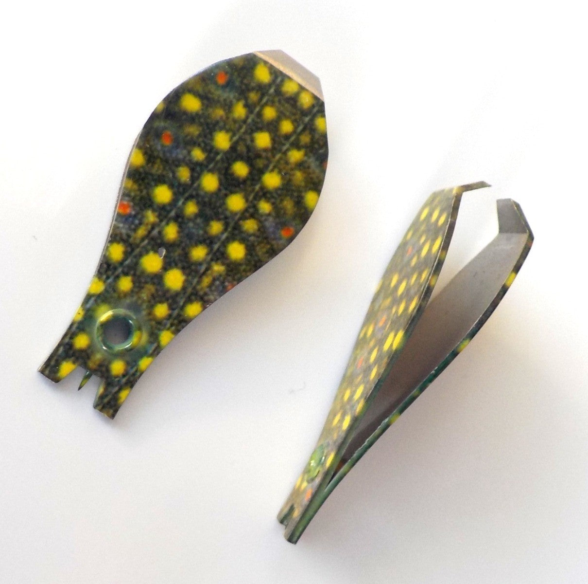 clippers_brook_trout_1.jpg