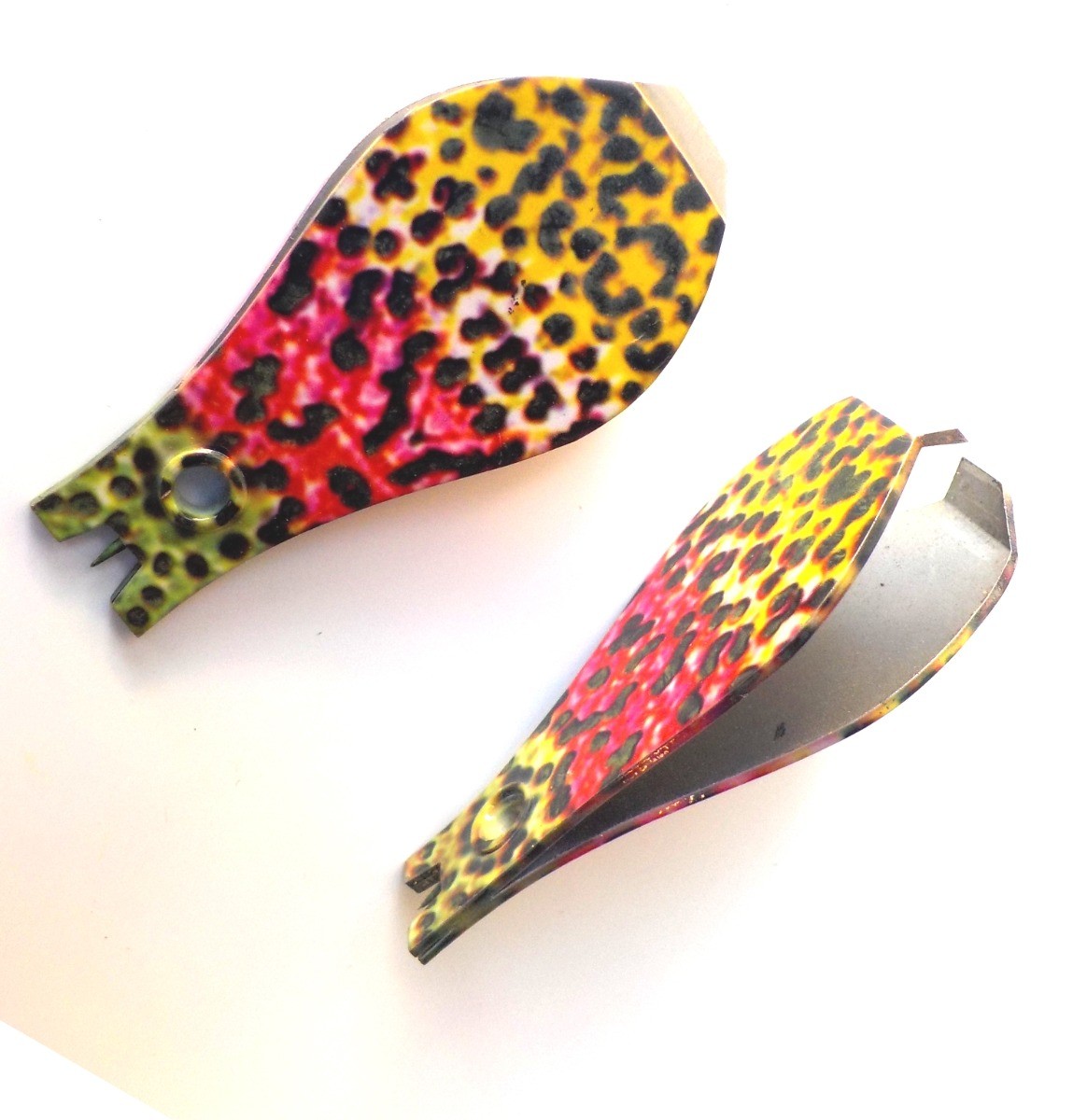 clippers_rainbow_trout_1.jpg
