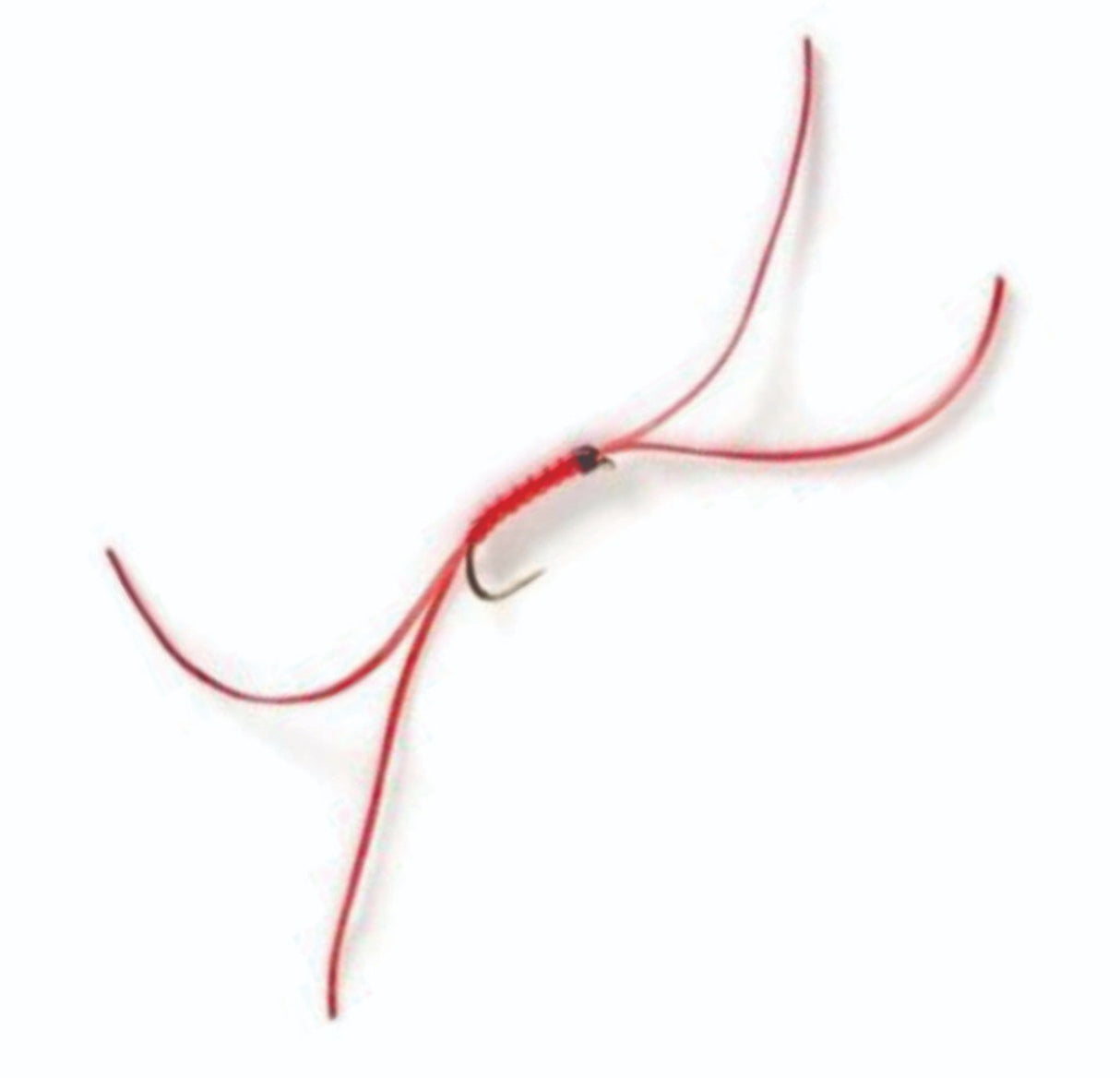 fw-worm-n50-14_bloodworm_red_apps_14_n50_.jpg