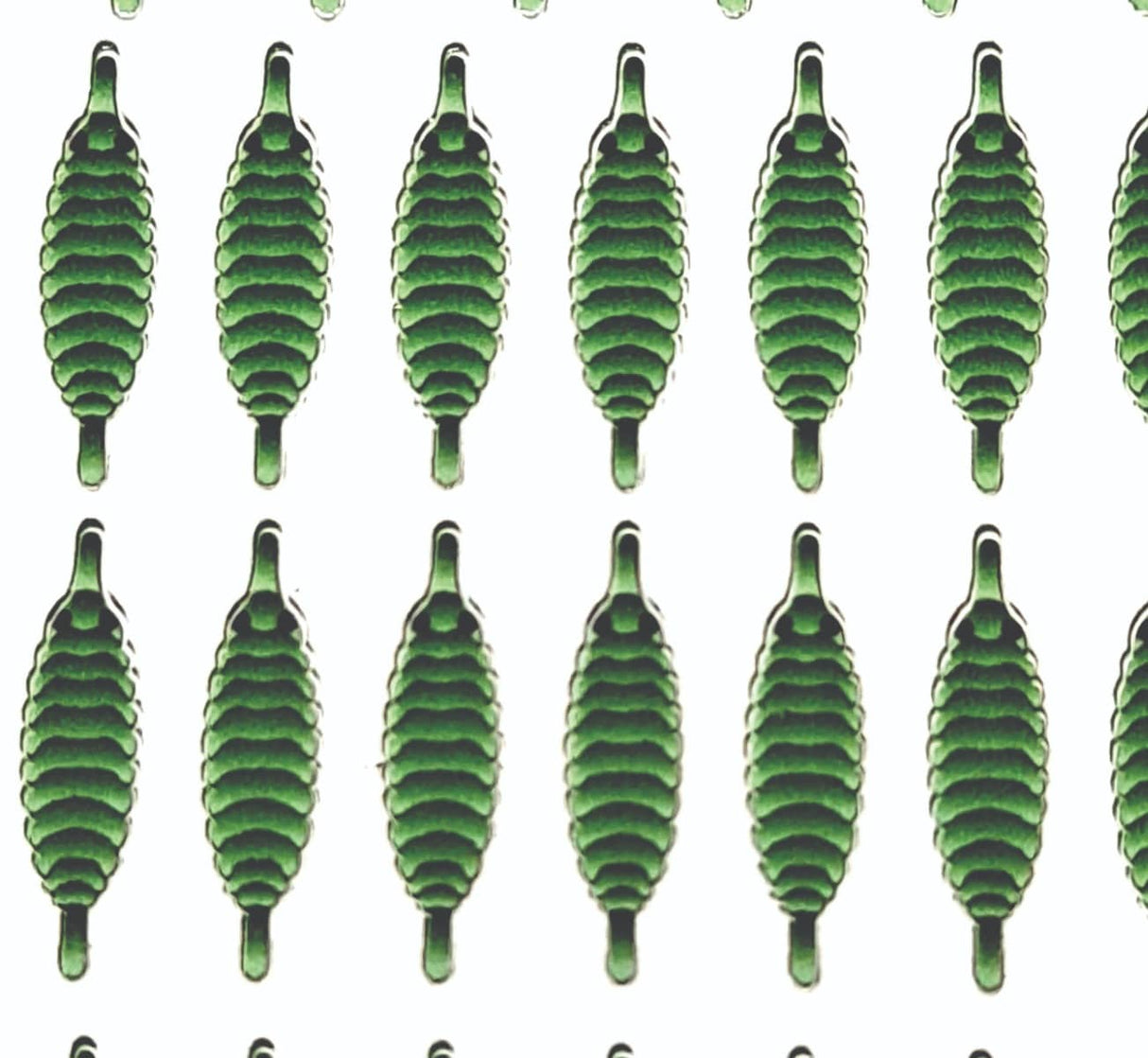 gammarus_back_olive_1.jpg