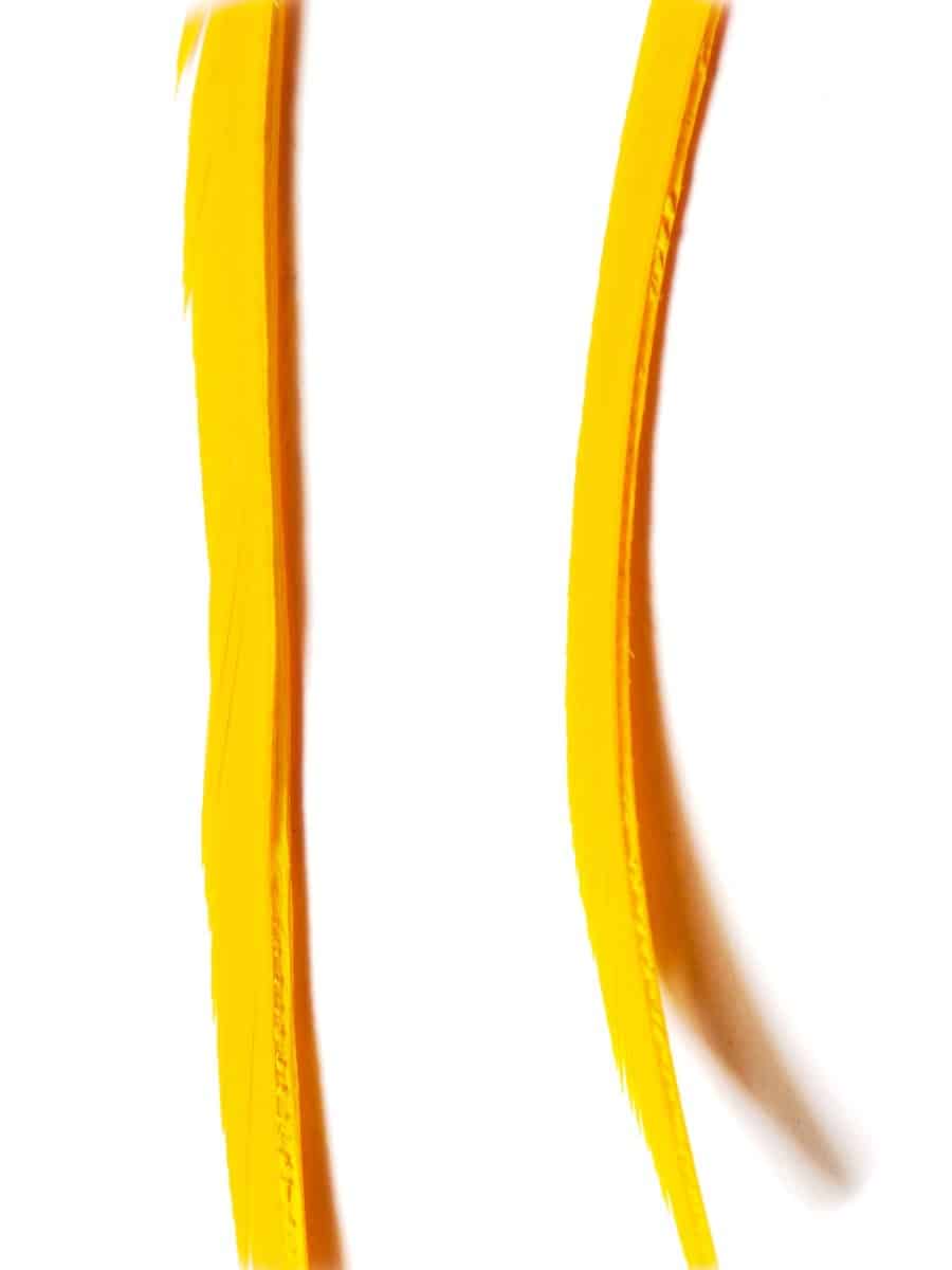 goose_biots-amber.jpg