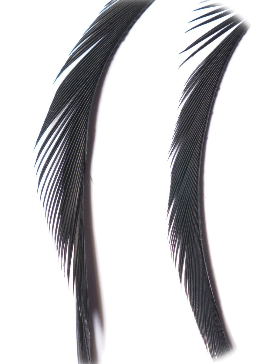 goose_biots-black.jpg