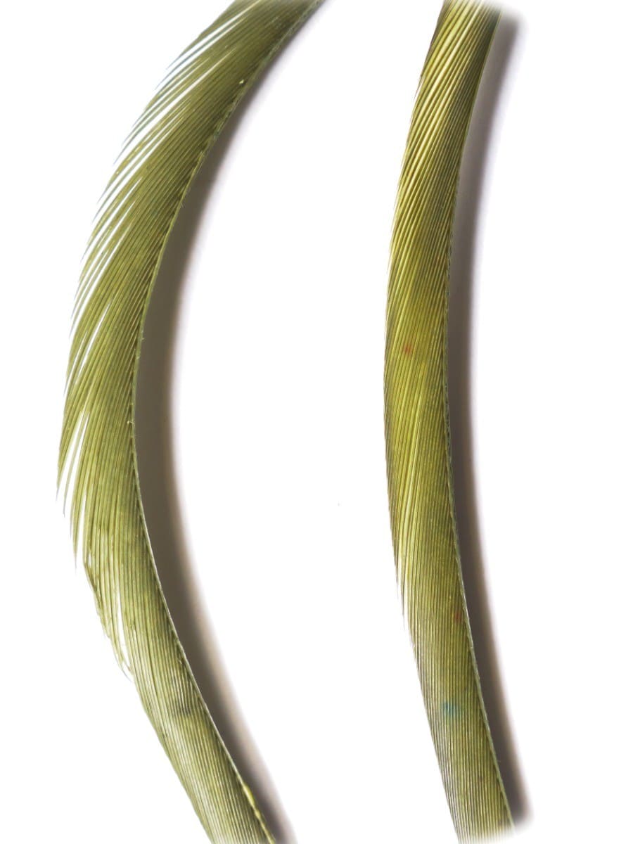 goose_biots-olive_dun.jpg