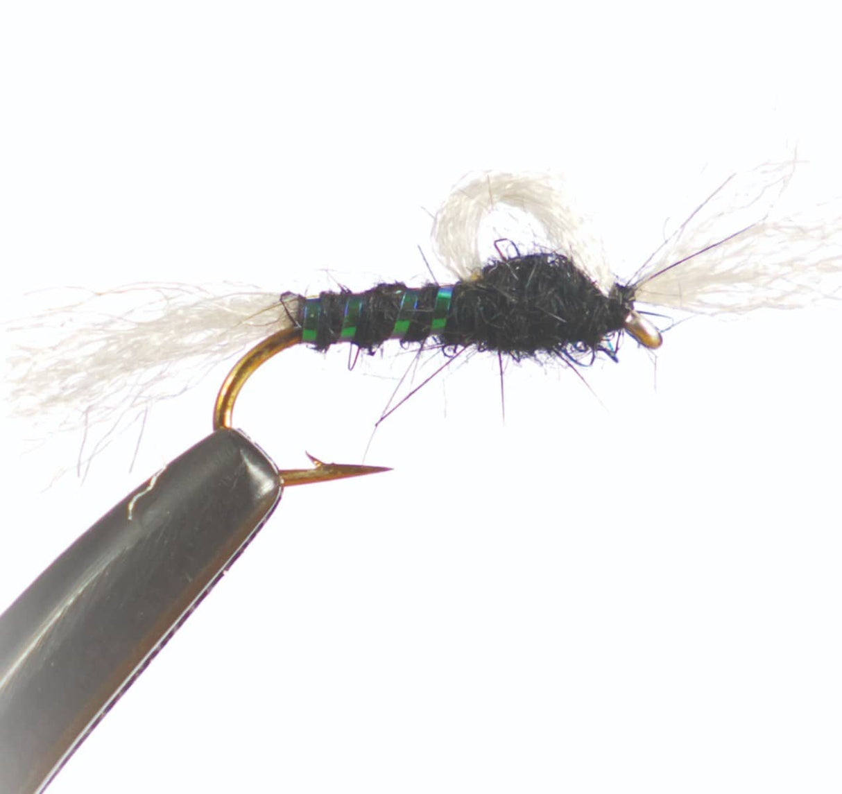 n1509.jpg