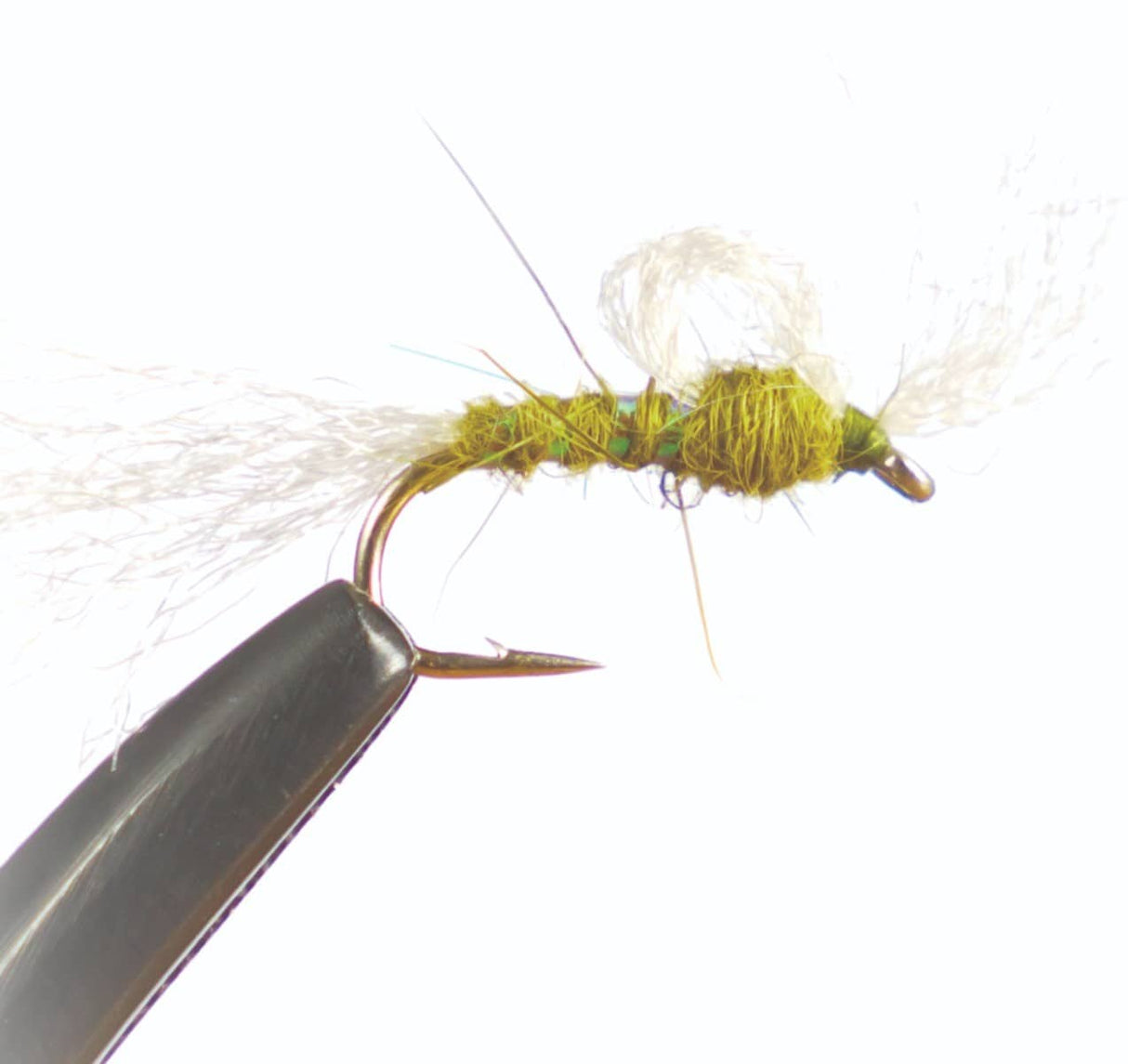 n1510.jpg