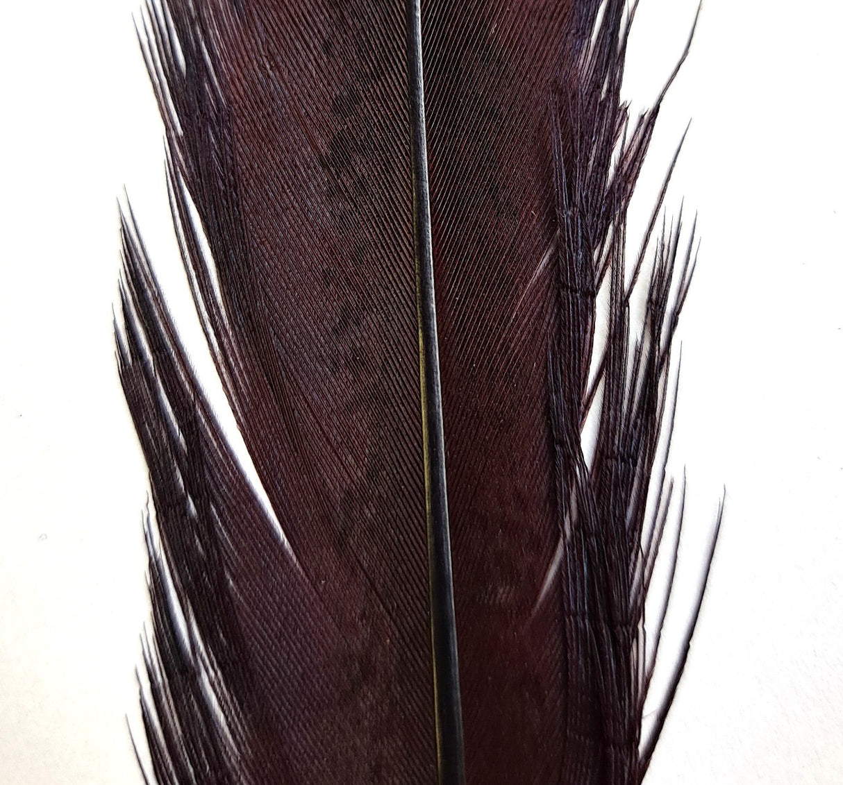 pheasant_tail_claret.jpg