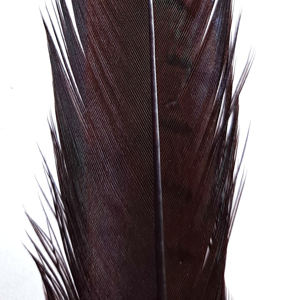 pheasant_tail_dk_brown.jpg