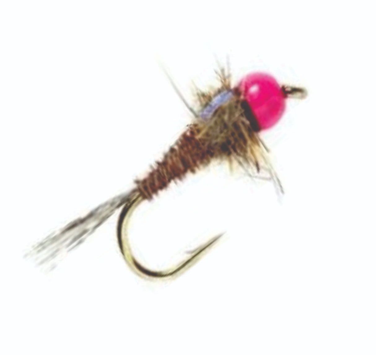 pt_n832.jpg