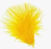 turkey_marabou_small_yellow.jpg