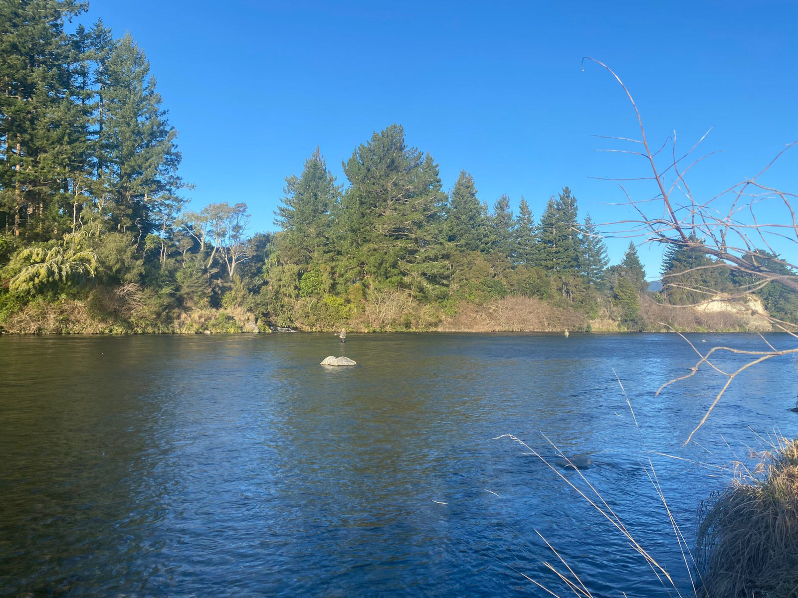 Turangi Fishing Report 11 July 2024