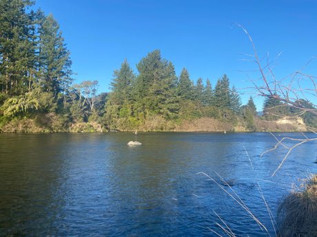 Turangi Fishing Report 11 July 2024