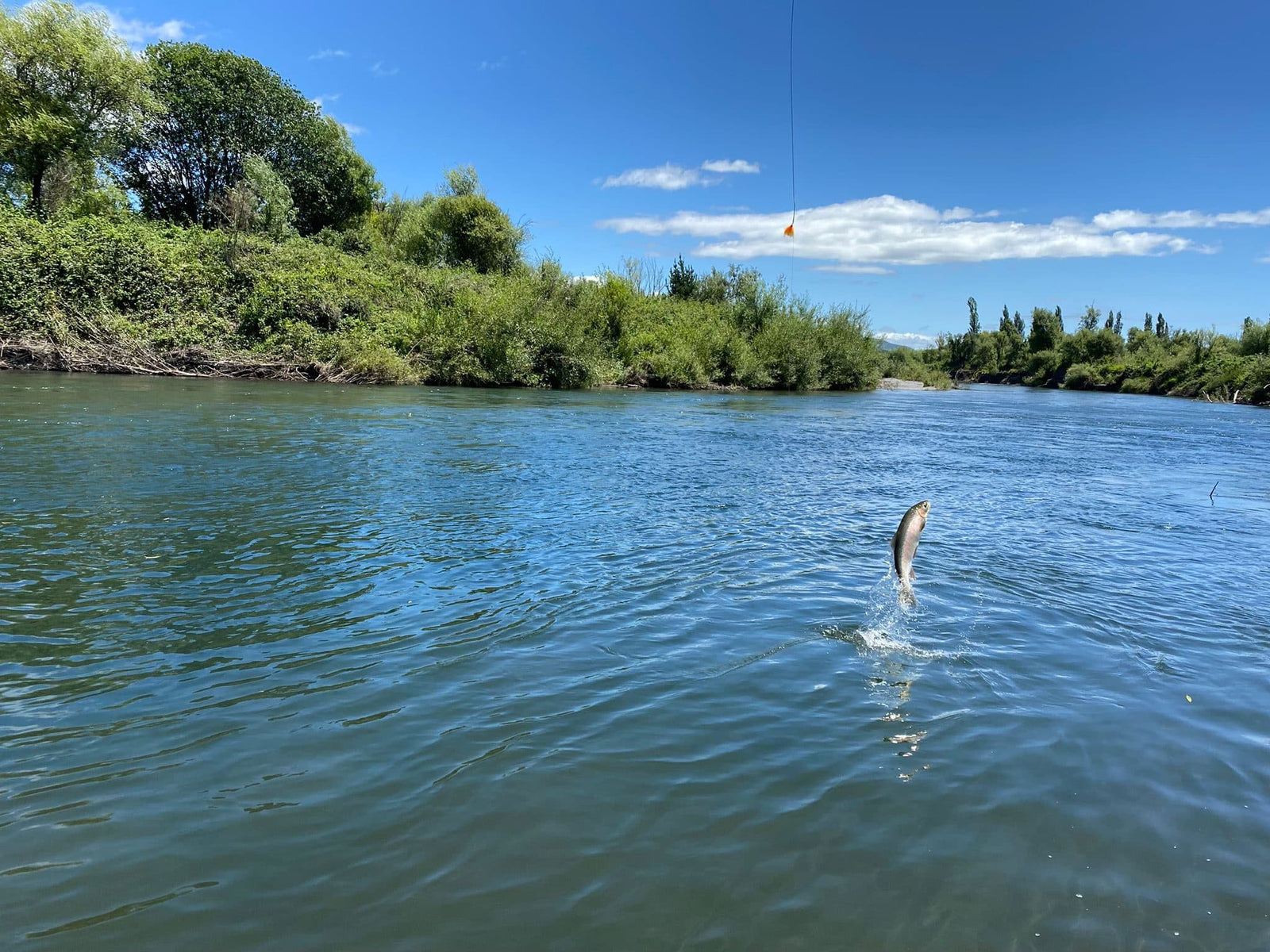Turangi Fishing Report 06 January 2023
