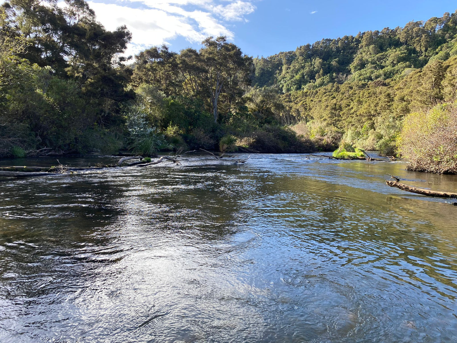 Turangi Fishing Report 14 September 2023