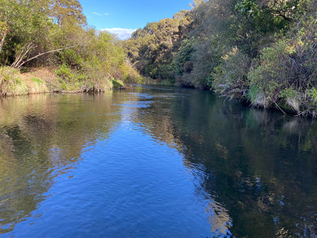 Turangi Fishing Report 04 July 2024