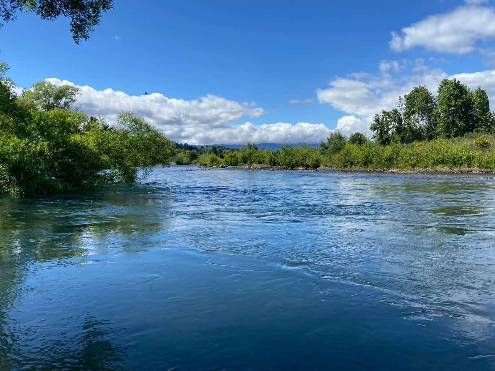 Turangi Fishing Report 30 November 2023