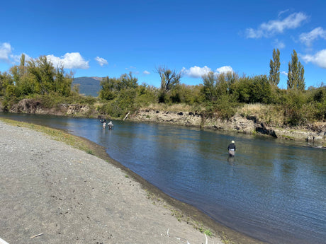 Turangi Fishing Report 14 March 2025