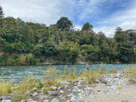 Turangi Fishing Report 3August 2023