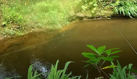 Bow and Arrow Cast Dry Fly - Ambassador Aaron West.