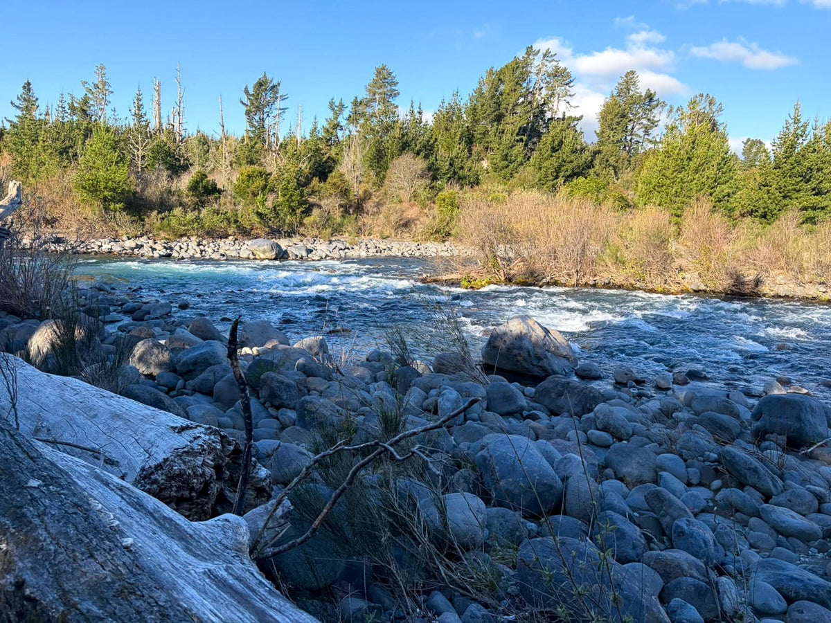 Turangi Fishing Report 24 September 2026 - by Brian Willson