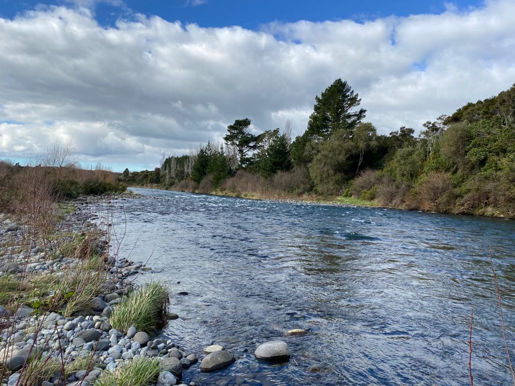 Turangi Fishing Report 12 August 2022