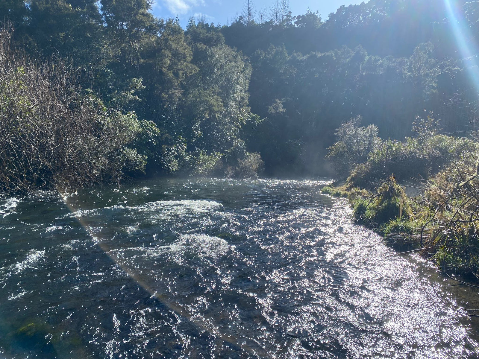 Turangi Fishing Report 17August 2023