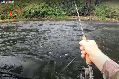 Aaron wins Auckland Comp with 'Traper' #1 Euro Rod.