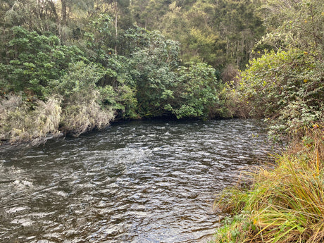 Turangi Fishing Report 13 June 2024