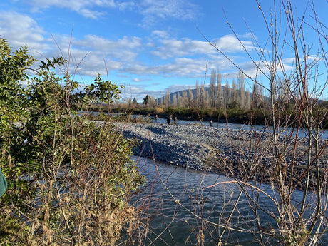 Turangi Fishing Report 09 September 2022