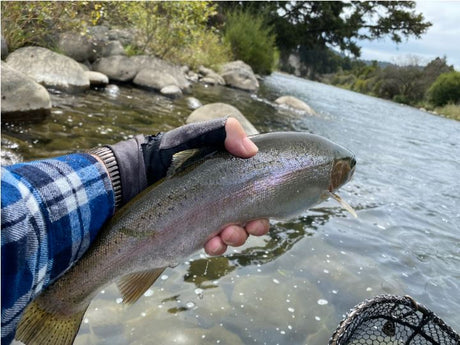 Turangi Fishing Report 09 Mar 2022