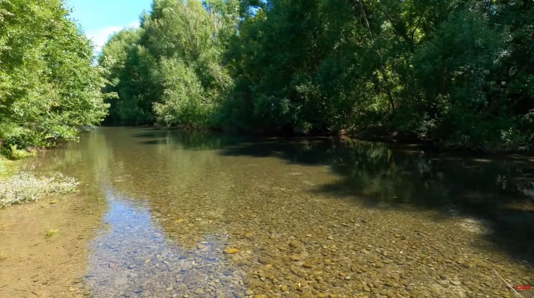 Fly Fishing Big Brown Trout in the Willows. Rising Brown Trout, Willow Grubs &amp; Mayflies.