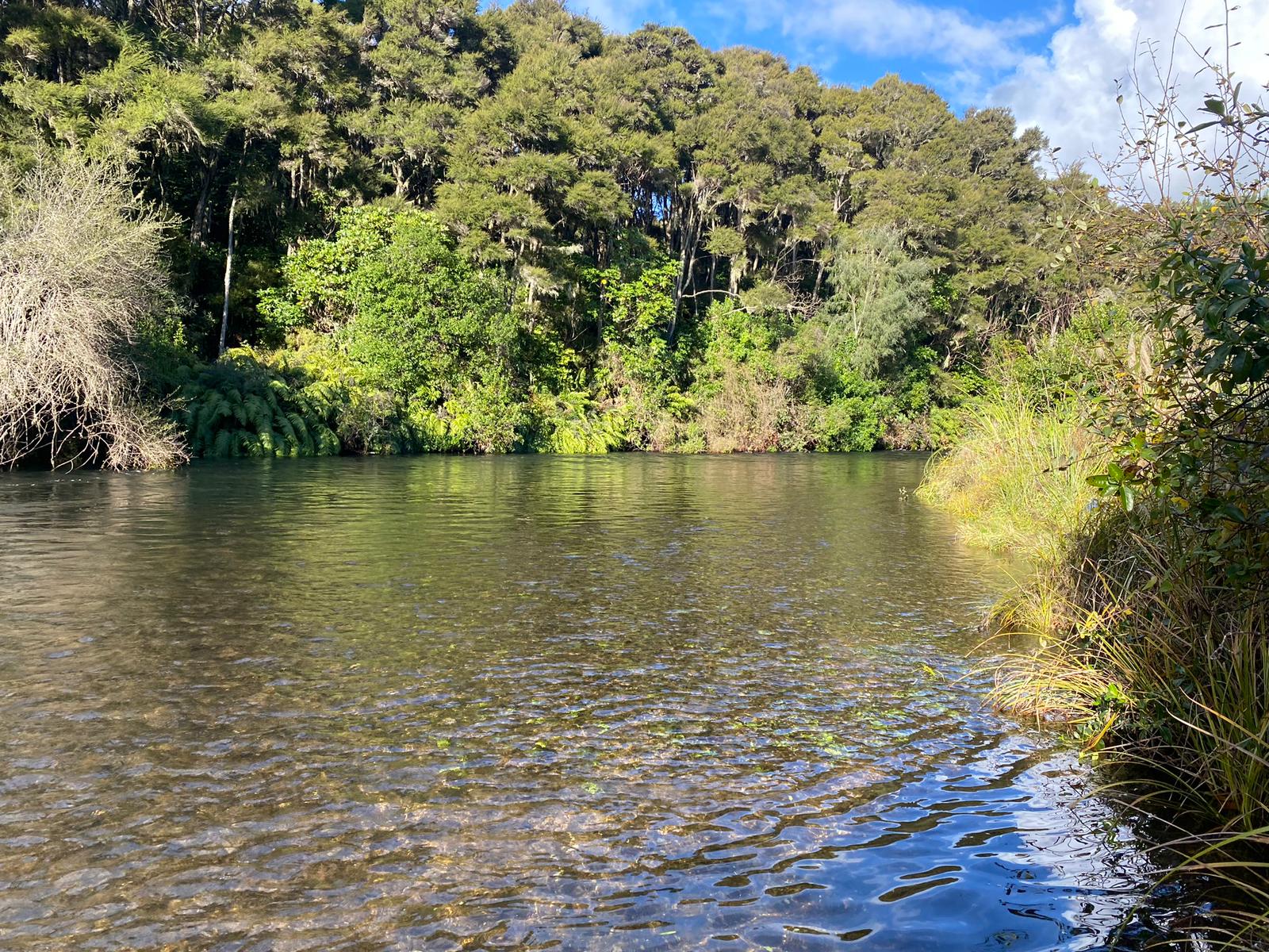 Turangi Fishing Report 19 September 2025